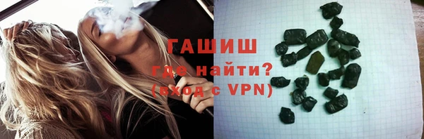 стаф Бородино