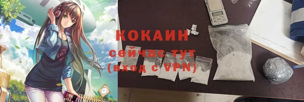 стаф Бородино