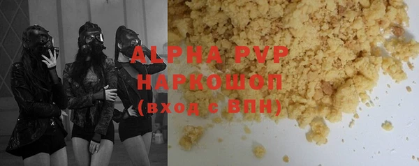 стаф Бородино