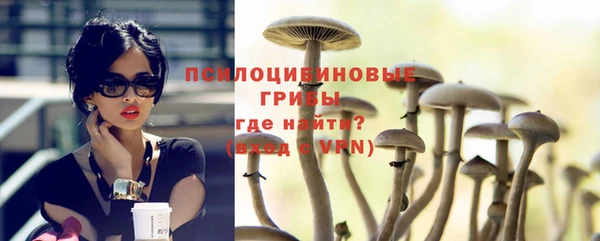 стаф Бородино