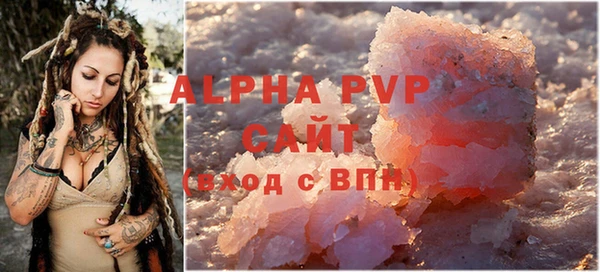 стаф Бородино