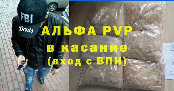 стаф Бородино