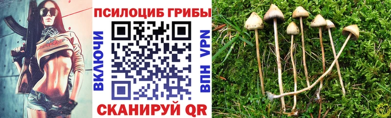 Купить закладки  Гаврилов-Ям  Галлюциногенные грибы MAGIC MUSHROOMS 